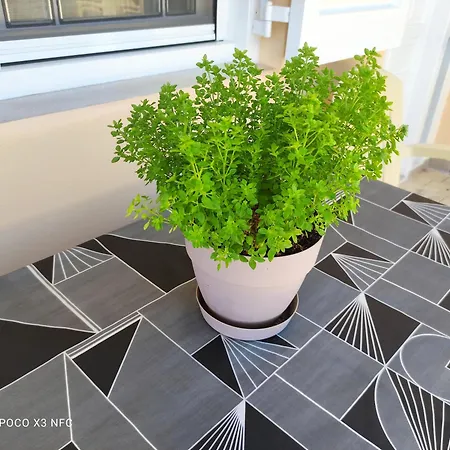 Manousos Apartamento *