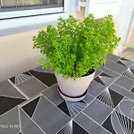 Manousos Апартаменты *